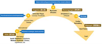 Integrating Evidence of the Traditional Chinese Medicine Collateral Disease Theory in Prevention and Treatment of Cardiovascular Continuum